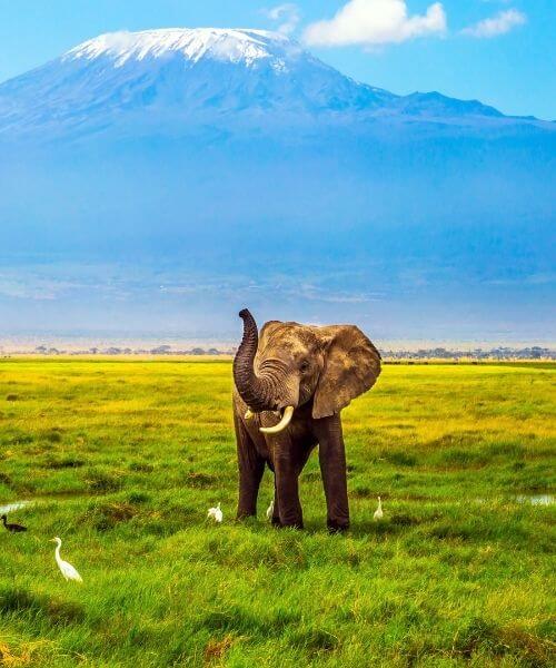 Tanzania